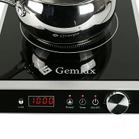 Плита индукционная Gemlux GL-IP55A
