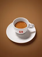 Кофе в зернах Illy Classico средней обжарки 3 кг